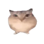�ͰͲ�һ����(���滥��������Ϸ)v1.0 �ֻ���