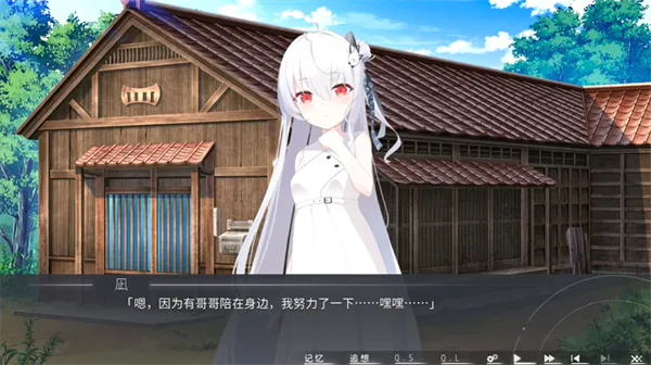 片方的祈愿2026最新版本v1.01 安卓版