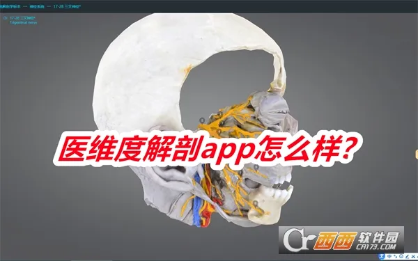 医维度解剖(人体解剖学习软件) 医维度解剖(人体解剖学习软件)