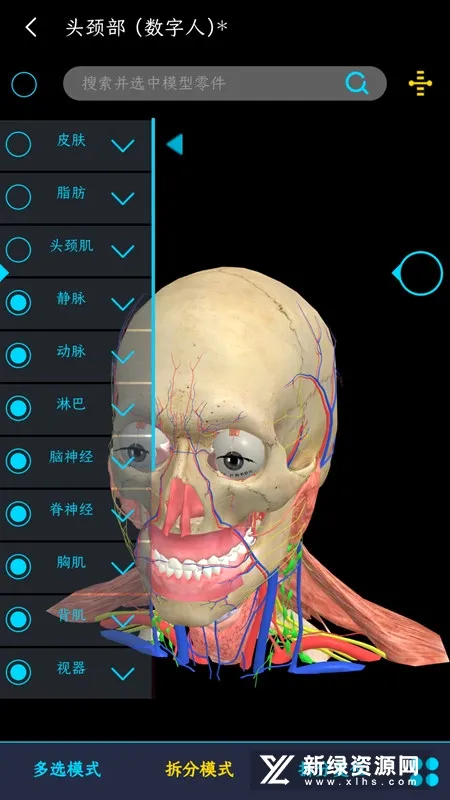 医维度解剖(人体解剖学习软件)v3.3.22 安卓版