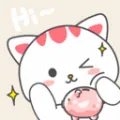 喵钱记账(多功能记账软件)v1.2.4 官方正版
