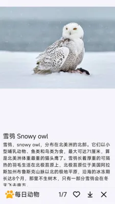 每日动物(动物科普APP)v1.0.0 免费版