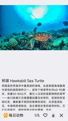 每日动物(动物科普APP)v1.0.0 免费版