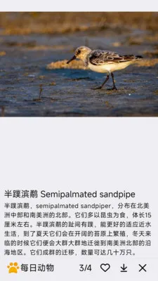 每日动物(动物科普APP)v1.0.0 免费版