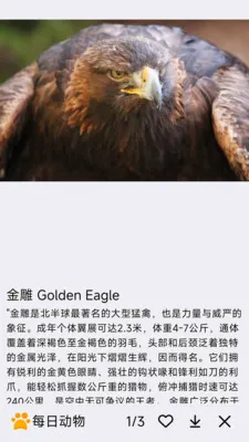 每日动物(动物科普APP)v1.0.0 免费版