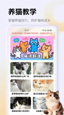治愈猫咪app2026最新版本v1.4 手机版