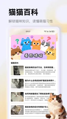 治愈猫咪app2026最新版本v1.4 手机版