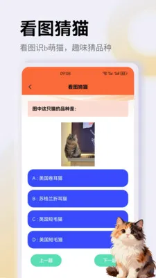 治愈猫咪app2026最新版本v1.4 手机版