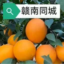 ����ͬ�ǰ�׿���ֻ���v15.7.4 ��Ѱ�