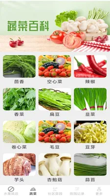 果蔬鲜鲜最新手机版v2.7.2.2 免费版
