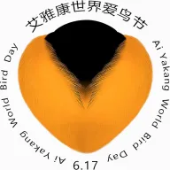 ��������(�����Ĵ�����)v1.0.0 �ٷ�����