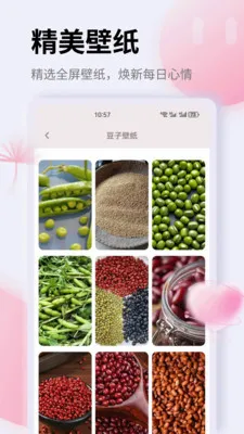 K豆(生活规划应用)v1.0.0 安卓版