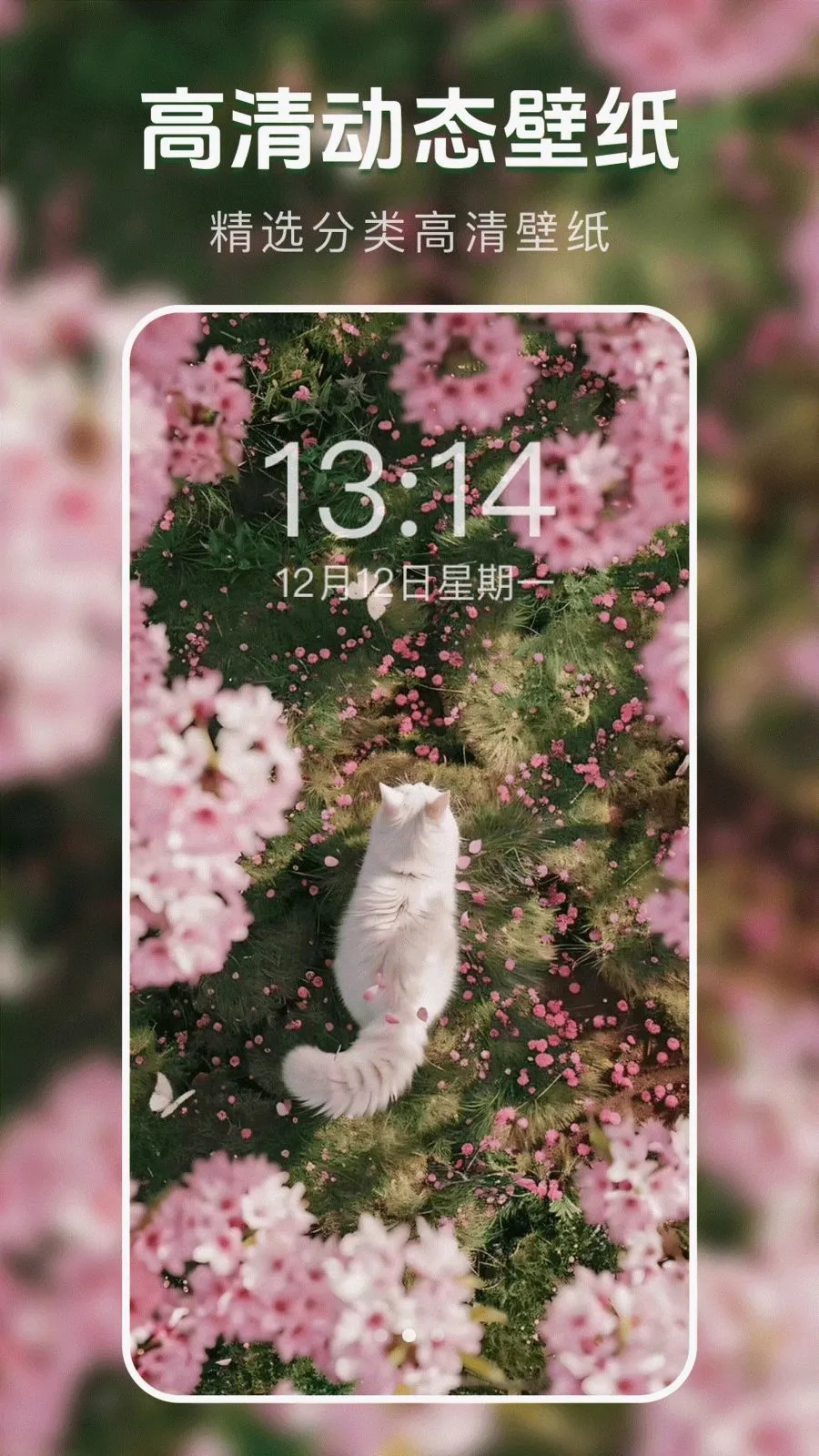 动态主题壁纸菌(手机壁纸美化)v1.0.0 免费版