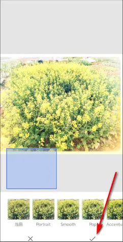 BetterSeed(图片处理软件)