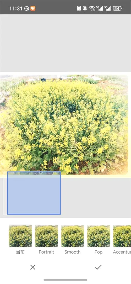 BetterSeed(图片处理软件)v2.22.0.633363672 官方正版