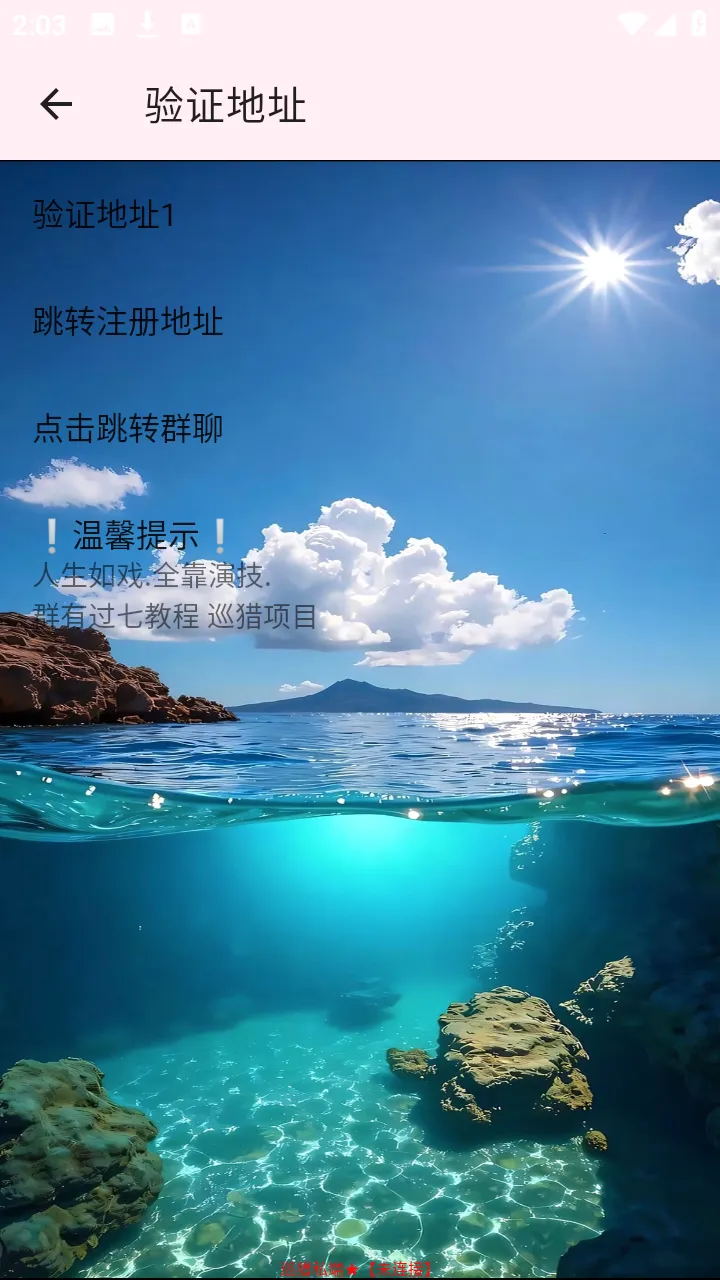 巡猎私端(手游网络优化工具)v巡猎私端 手机版