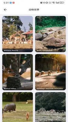 musabay(维语壁纸影视app)v1.1.3 官方正版