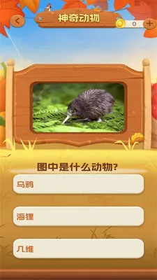 一听就会安卓版手机版v1.0.3 安卓版