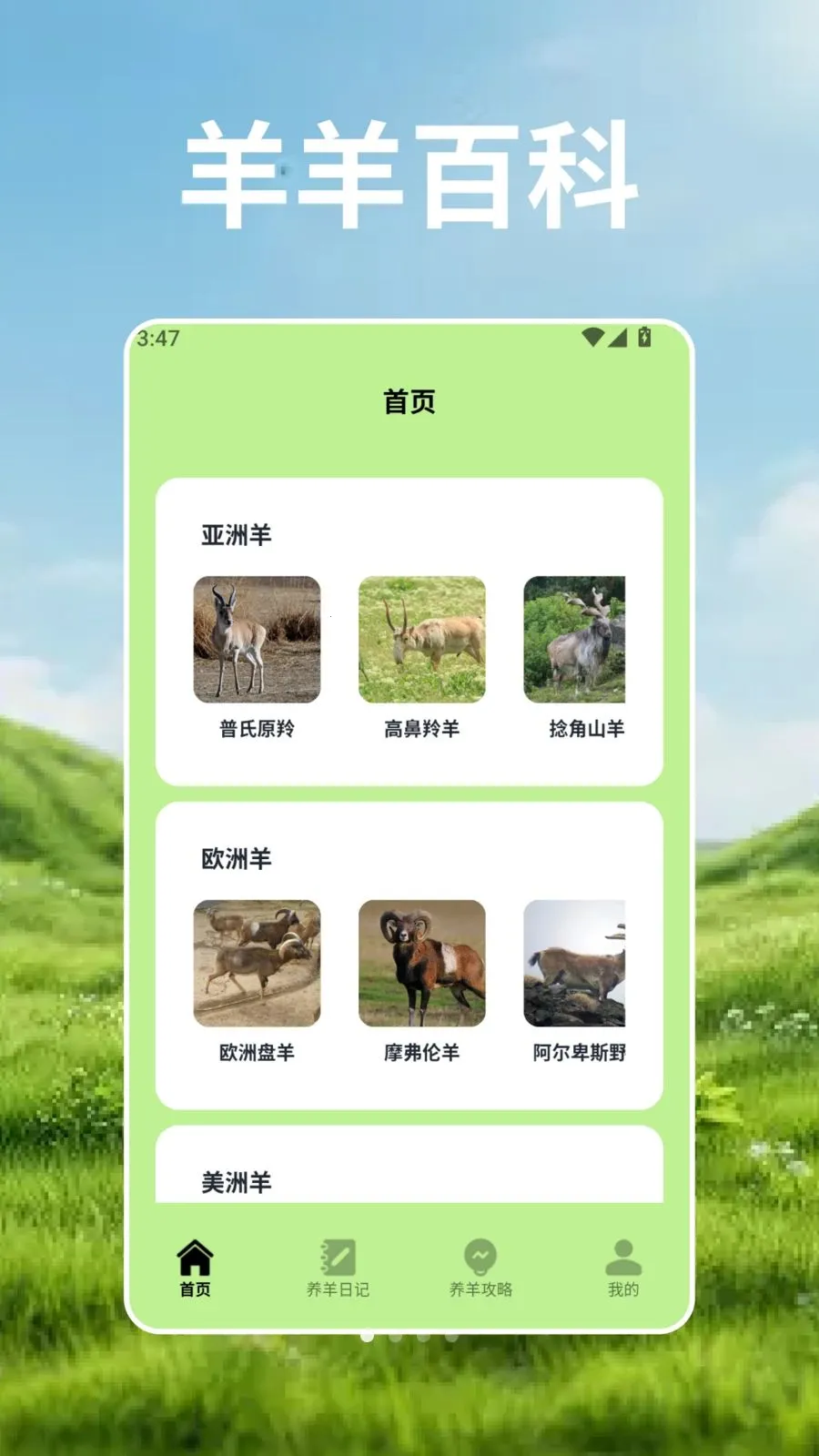 羊群的科学管安卓版手机版v2.3 手机版
