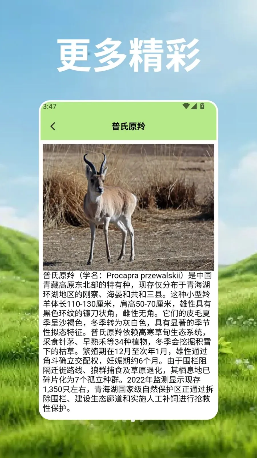 羊群的科学管安卓版手机版v2.3 手机版