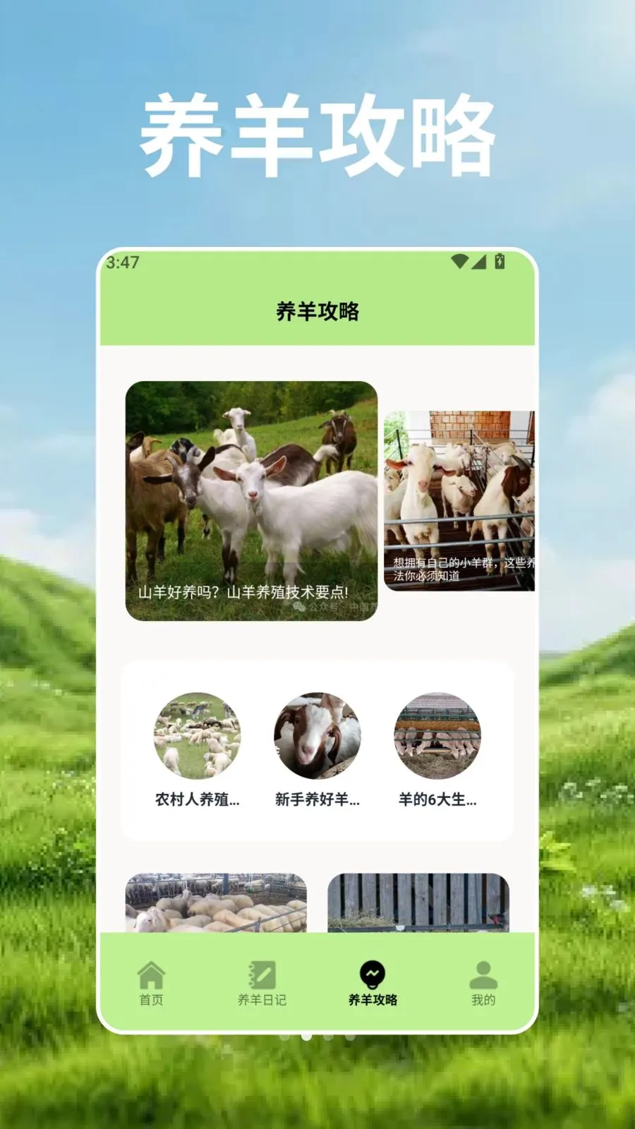 羊群的科学管安卓版手机版v2.3 手机版