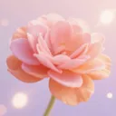 үү�İٲ��û���(�ʻ�����Ӧ��)v1.5 ��Ѱ�