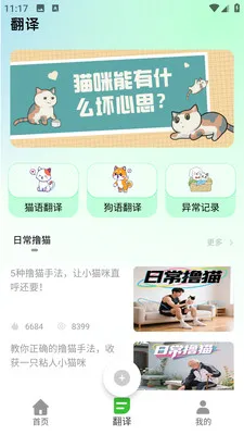 PEPPYCAT猫语空间(养猫体验平台)v2.0.0 官方正版