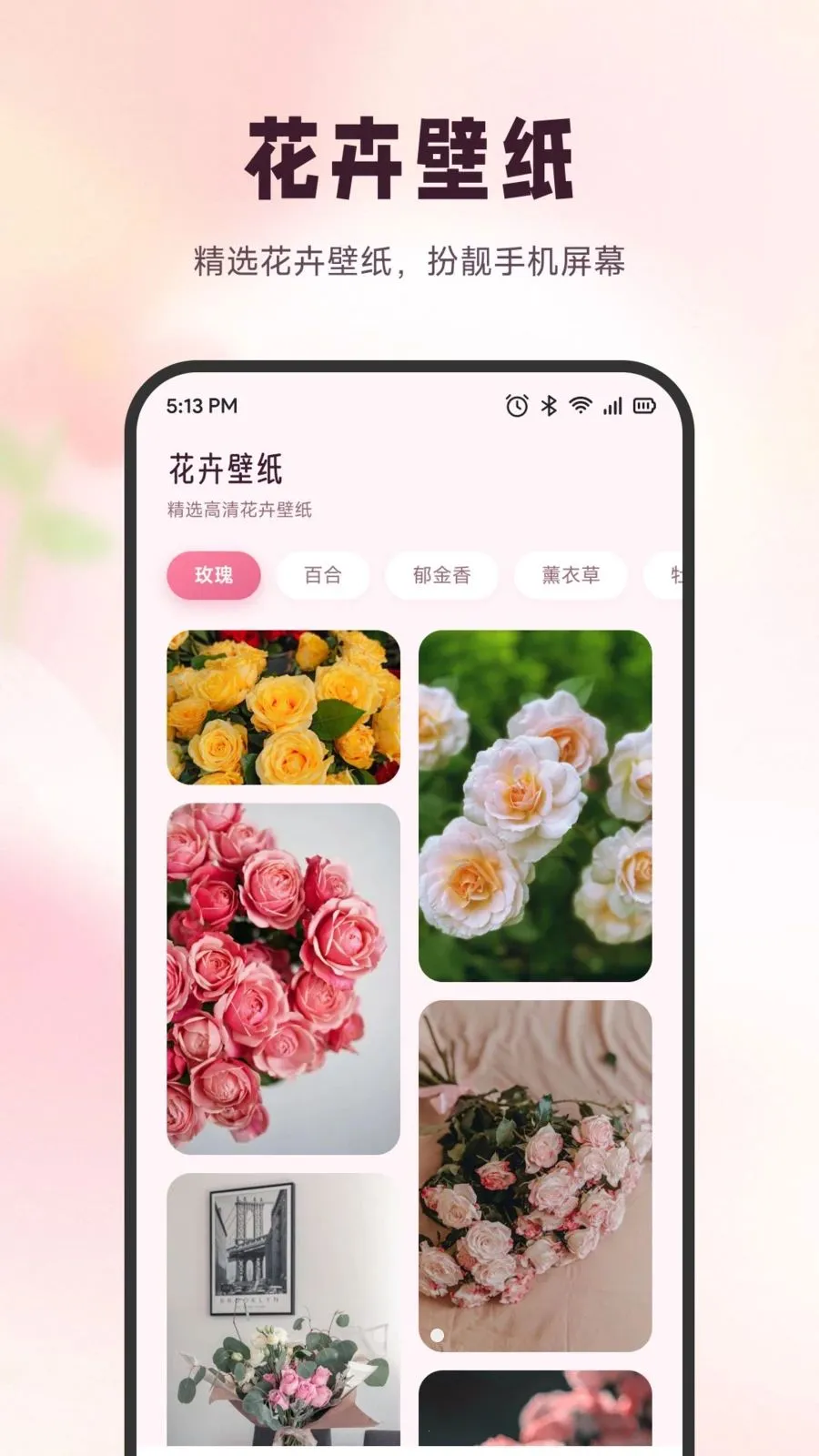 雪融花鉴2026官方最新版本v1.6 免费版