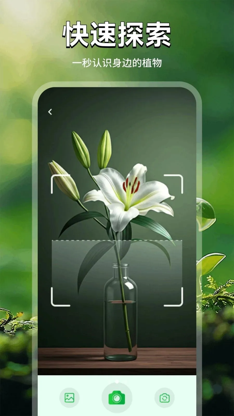 村村花植记2026最新版本v1.3 手机版
